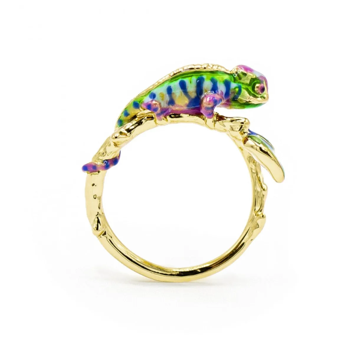 Chameleon Open ring by Bill Skinner