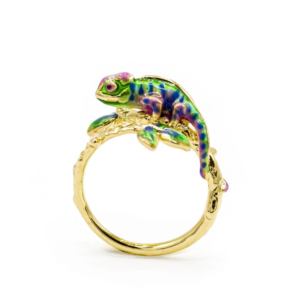 Chameleon Open ring by Bill Skinner