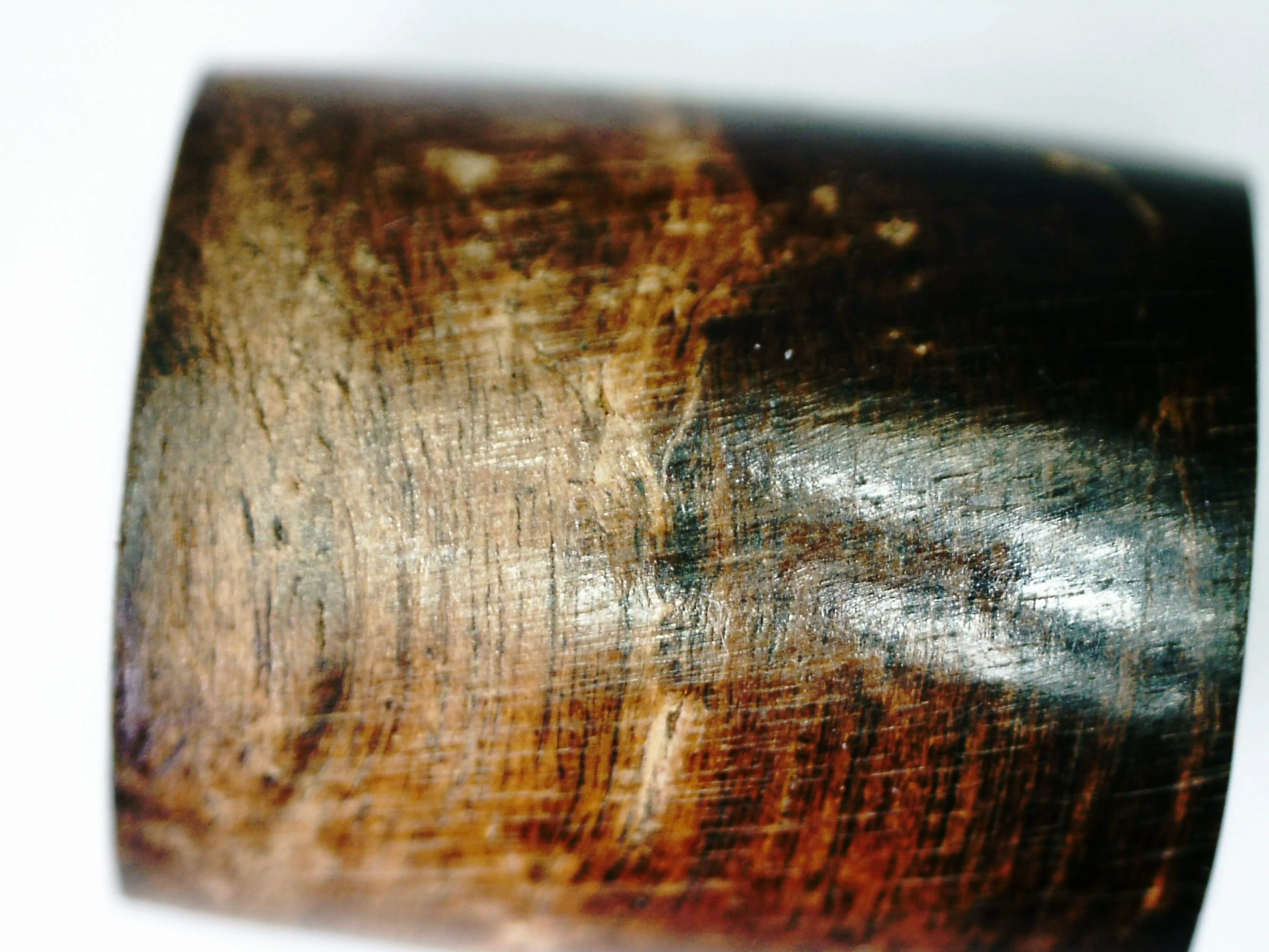 The Calm and Compose - Sinking Wild Agarwood Bracelet with Solid Baltic Amber